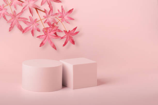 istock Abstract empty product stand with pink leaves and soft shadow on pink background 1434972525