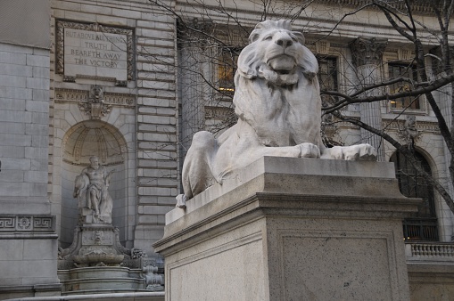 The lion statue of New York Public Library. United States.