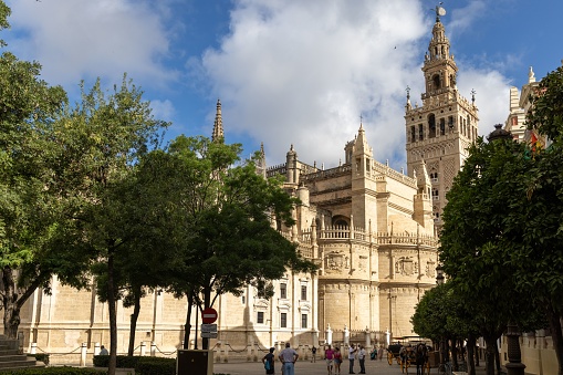 Seville, Spain – June 21, 2022: The Giralda tower and the cathedral of Seville surrounded by trees, Spain