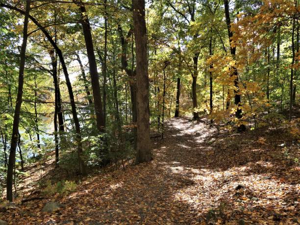 istock Lakes and Lanes, Autumn 1434978000