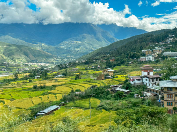 Bhutan Thimphu padi field and villages Bhutan Thimphu padi field and villages bhutanese culture photos stock pictures, royalty-free photos & images