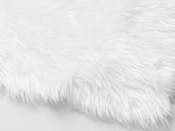 istock White clean wool texture background. light natural sheep wool. white seamless cotton. texture of fluffy fur for designers. close-up fragment white wool carpet. 1434986353