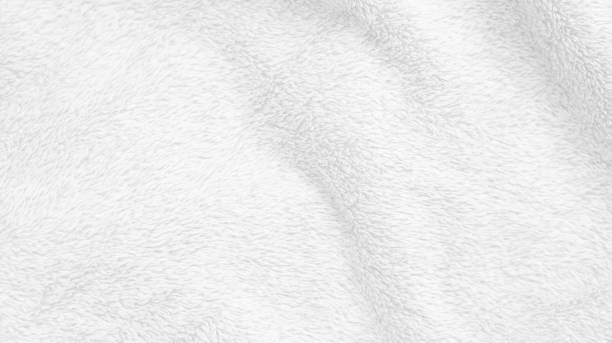 istock White clean wool texture background. light natural sheep wool. white seamless cotton. texture of fluffy fur for designers. white wool carpet, weaving industry, fabric shop, quality of winter fabrics 1434986917