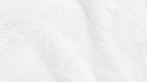 istock White clean wool texture background. light natural sheep wool. white seamless cotton. texture of fluffy fur for designers. white wool carpet, weaving industry, fabric shop, quality of winter fabrics 1434986918