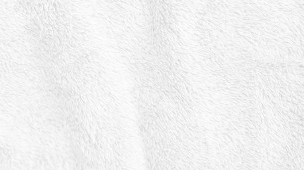 istock White clean wool texture background. light natural sheep wool. white seamless cotton. texture of fluffy fur for designers. white wool carpet, weaving industry, fabric shop, quality of winter fabrics 1434986925