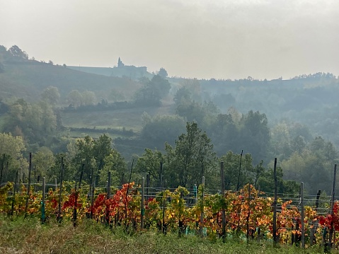 Italy - Piedmont region - landscape around Vicoforte and Langhe