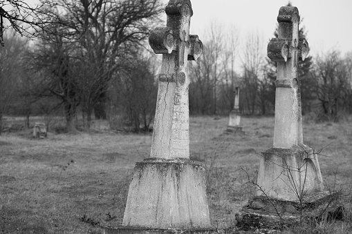 An old abandoned cemetery near the danube river