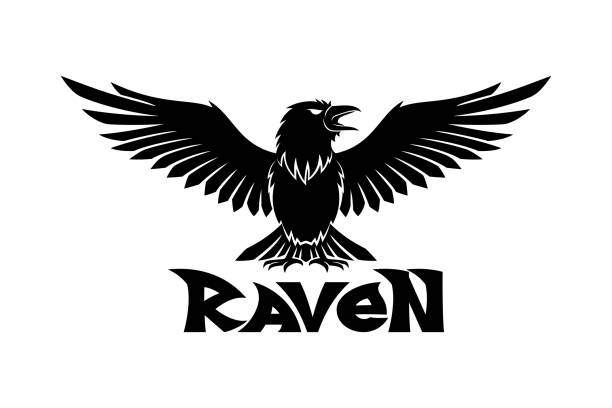Raven bird icon. vector art illustration