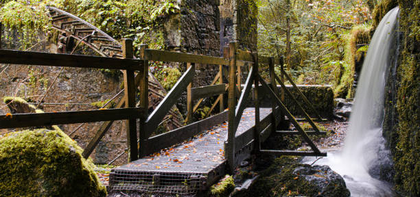 reserva natural kennall vale cornwall y trabajos de pólvora - glade england autumn forest fotografías e imágenes de stock