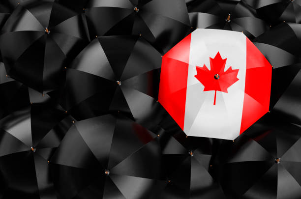 Umbrella with Canadian flag among black umbrellas, top view. 3D rendering