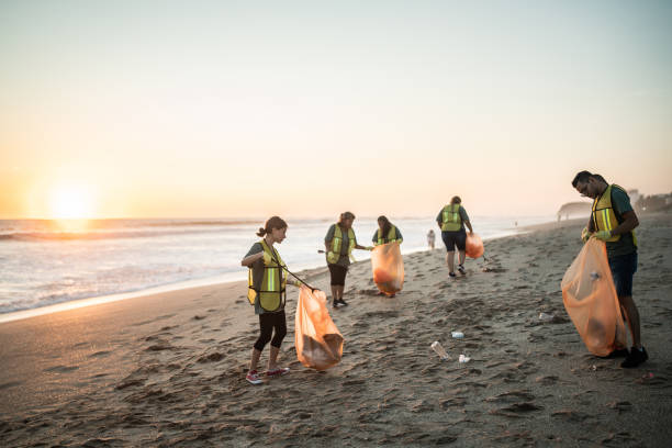 recyclers cleaning the beach - group of people women beach community imagens e fotografias de stock
