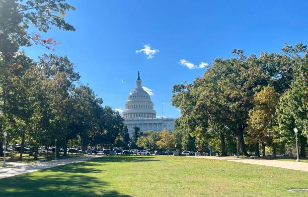 istock Capitol Hill Washington DC in the fall 1435007682