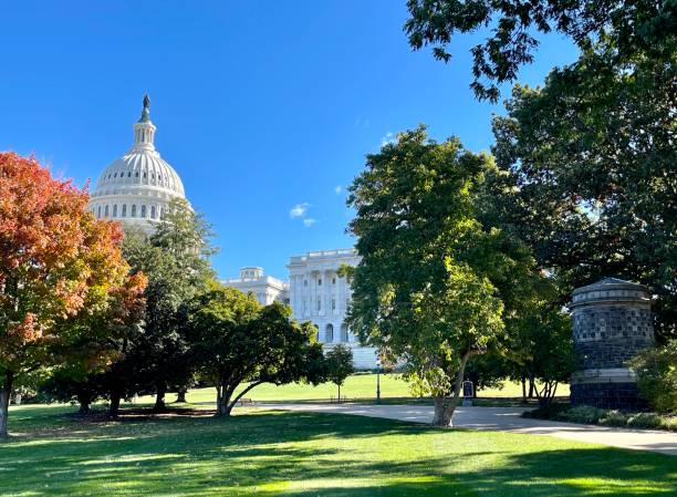 capitol hill washington dc im herbst - washington dc autumn capitol building usa stock-fotos und bilder