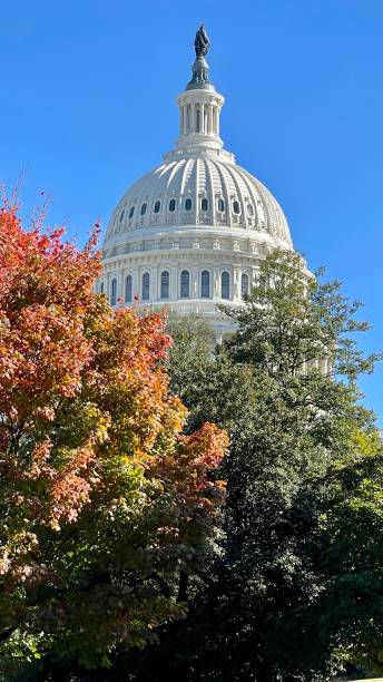 istock Capitol Hill Washington DC in the fall 1435007823