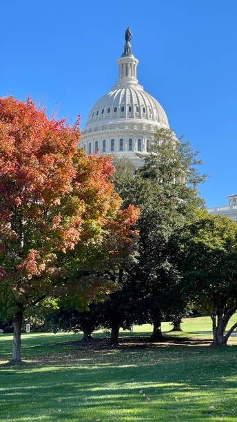 istock Capitol Hill Washington DC in the fall 1435007951