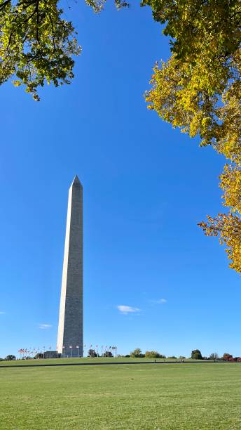 istock Washington monument at the national mall with colorful trees 1435008984