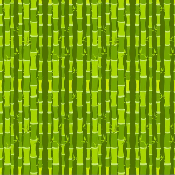 Vector illustration of Green bamboo forest in hand drawn style. Seamless pattern.