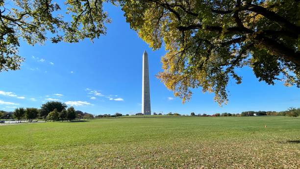 istock Washington monument at the national mall with colorful trees 1435014514