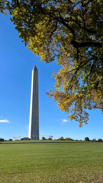 istock Washington monument at the national mall with colorful trees 1435014533