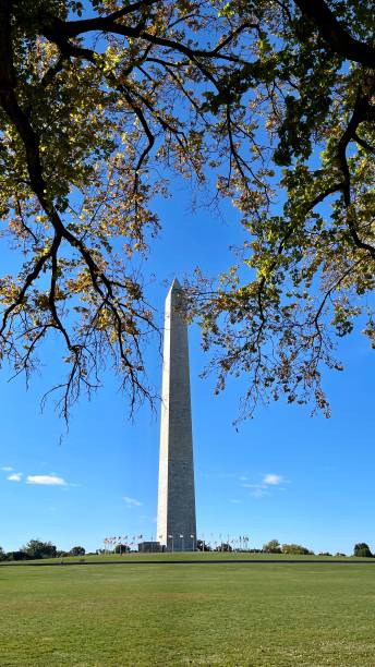istock Washington monument at the national mall with colorful trees 1435014540