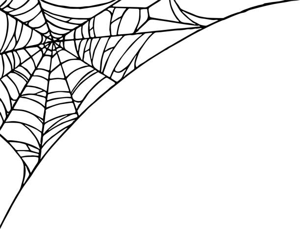 Halloween party background with spiderwebs isolated png or transparent texture,blank space for text,element template for poster,brochures, online advertising,vector illustration Halloween party background with spiderwebs isolated png or transparent texture,blank space for text,element template for poster,brochures, online advertising,vector illustration spider web png stock illustrations