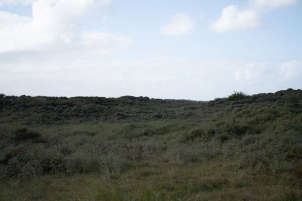 istock Grass field with a cloudy sky in the background. 1435016625