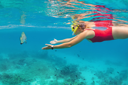 Happy family - active kid in snorkeling mask dive underwater, see tropical fishes in coral reef sea pool. Travel adventure, swimming activity on summer beach vacation with child.