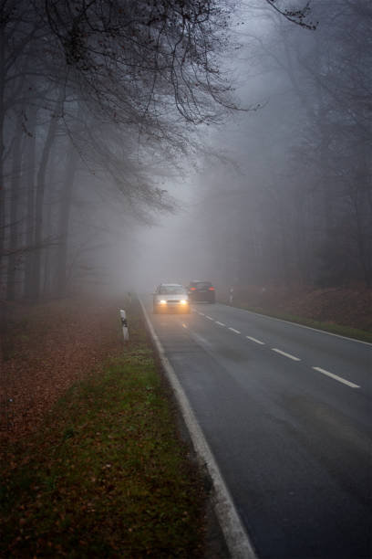 istock Autumnal road through forest - fog 1435023355