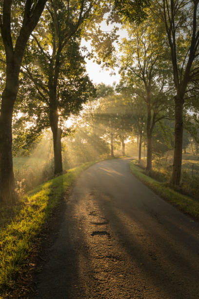 istock Rural road at sunrise 1435025105