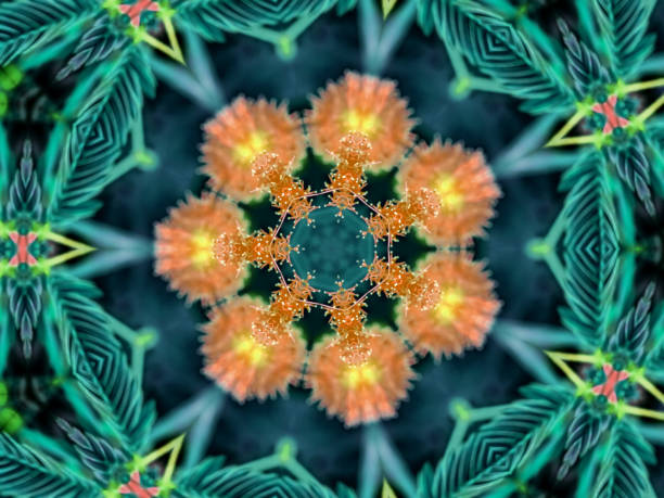 istock background abstract flame mandala flower colorful 1435025132