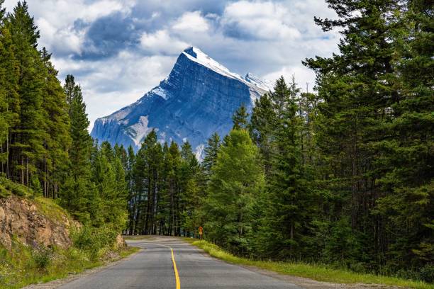 istock Road surrounded by green trees and a mountain in the background 1435025427
