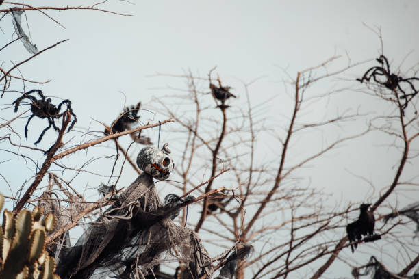 halloweenowa dekoracja duchów wisząca z pająkami na suchych gałęziach drzew na tle błękitnego nieba - hang to dry audio zdjęcia i obrazy z banku zdjęć