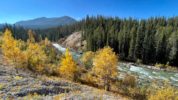 istock Maligne road during autumn Jasper Alberta 1435032240