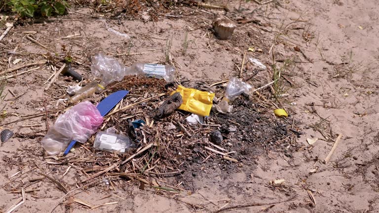 Discarded Garbage from Plastic Bottles, Plastic Bags in Sun in Forest on Sand