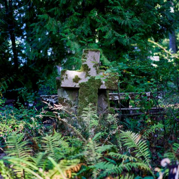 istock Old cross on a grave covered by moss in an old cemetery 1435037126