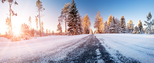 Beautiful winter road in natural sunny park. Panoramic view of the snowy street.