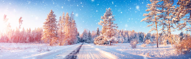 schneefall auf der verschneiten straße im naturpark im winter. - woods tree panoramic snow stock-fotos und bilder