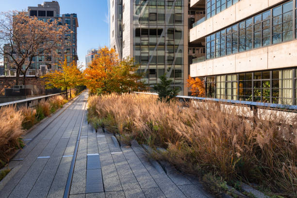 new york city high line promenade im herbst. erhöhter greenway auf einer ehemaligen new york central railroad. chelsea, manhattan - high line park stock-fotos und bilder