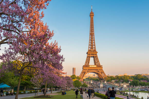 istock Eiffel Tower in Paris, France. 1435038484
