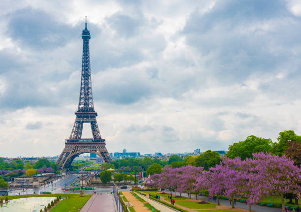 Eiffel Tower with Magnolia flowers. Spring view on Paris, France.