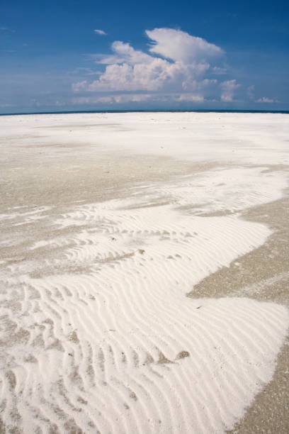 istock Dauphin Island Beach - Pelican Peninsula Waves in Sand 1435042257