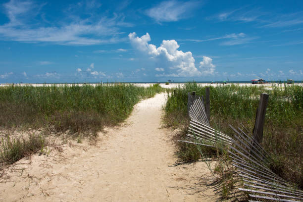istock Dauphin Island Beach - Trail to the Beach 1435043089