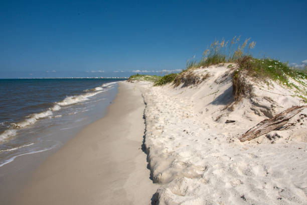 istock Dauphin Island Beach - Pelican Peninsula Shoreline 1435044490