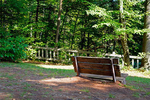 A picture of a rest area in a park with bench in the woods