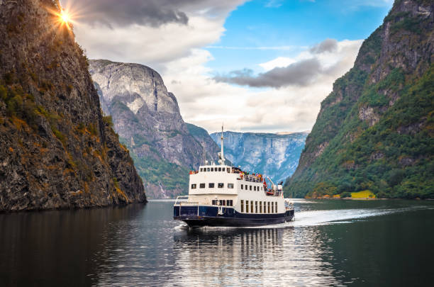 vue panoramique sur sognefjord, l’un des plus beaux fjords de norvège - sognefjord photos et images de collection