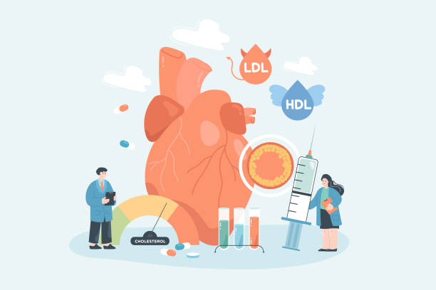 Tiny cartoon people and human heart with high cholesterol vector art illustration