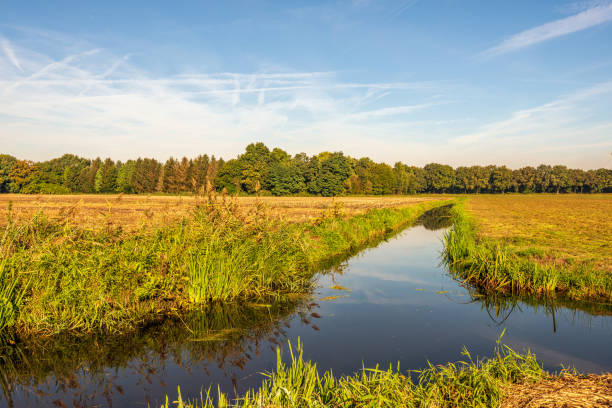 istock Dutch polder landscape on a windless autumn day 1435056037