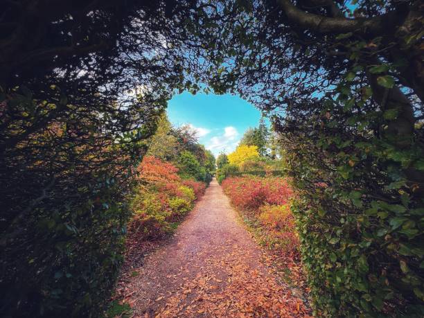 istock Autumn colours at the botanical garden 1435056765