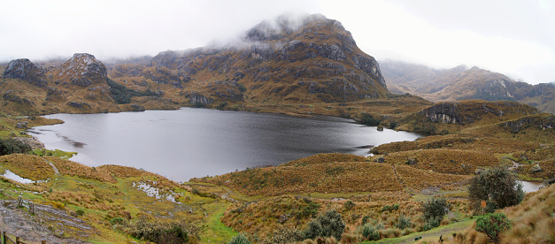 Cajas National Park is a high-altitude area west of Cuenca, in Ecuador. It is known for its trails through evergreen cloud forests and its hundreds of lagoons.