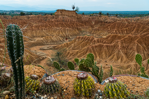 The Tatacoa Desert is considered one of the main environmental and tourist attractions in the department of Huila, where erosion processes, cactus plants and thorny bushes, extreme weather conditions, and fossils attract the attention of visitors. interested in appreciating nature.